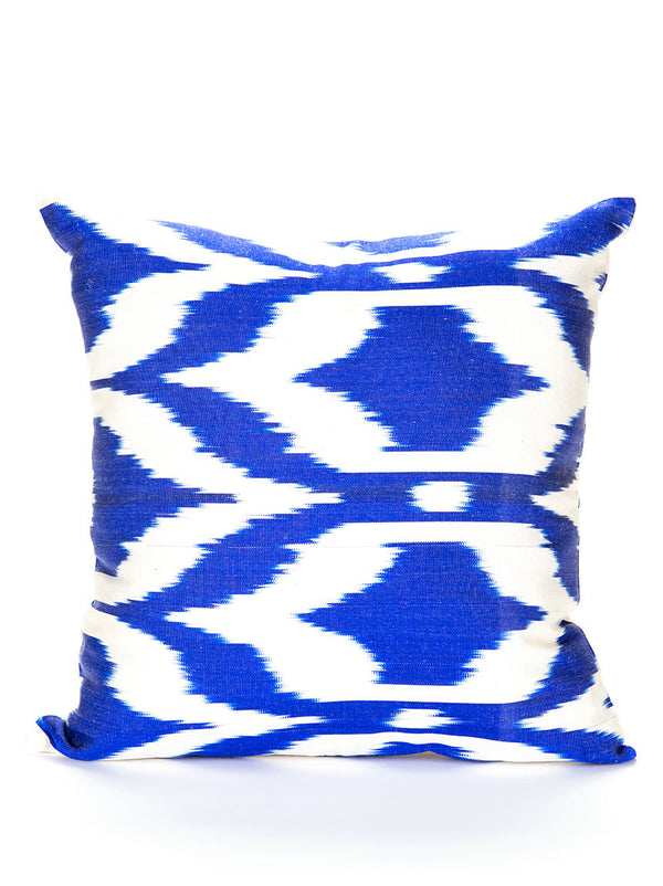 Throw Pillow Case - Silk with Cotton Back